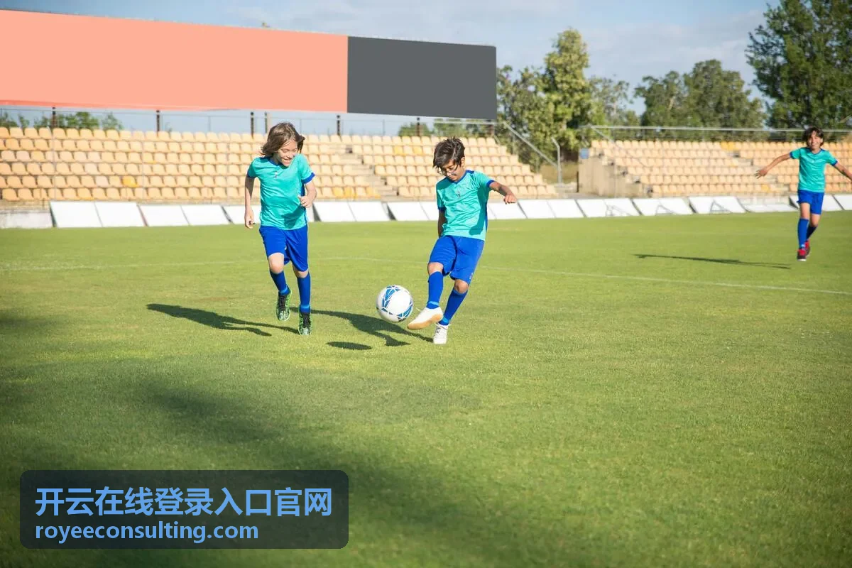 开云在线登录入口官网的账号验证操作界面示意