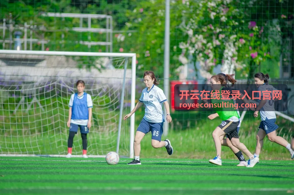 开云在线登录入口官网的入口地址核对示意